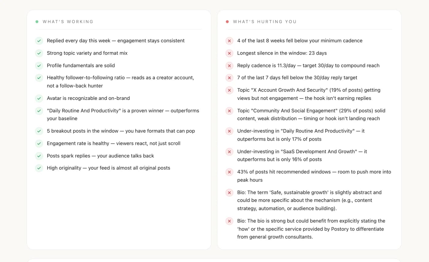 The audit listing what is working and what is hurting the account, side by side